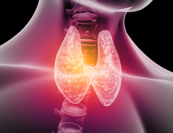 endocrinology